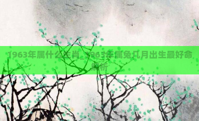 1963年属什么生肖_1963年属兔几月出生最好命解析