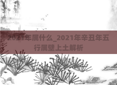 2021年属什么_2021年辛丑年五行属壁上土解析