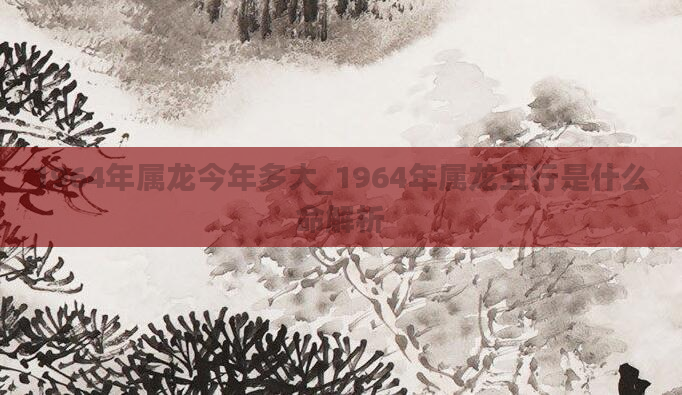 1964年属龙今年多大_1964年属龙五行是什么命解析