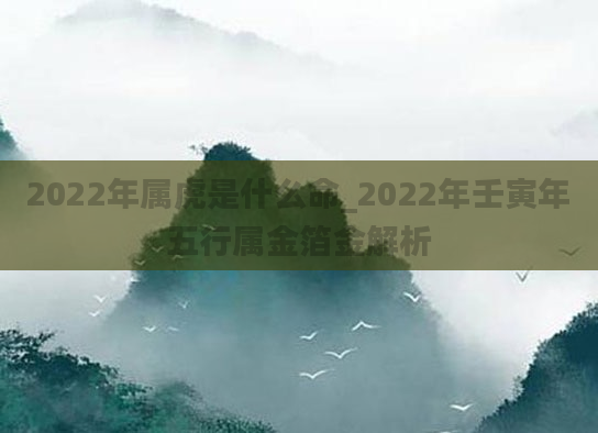 2022年属虎是什么命_2022年壬寅年五行属金箔金解析