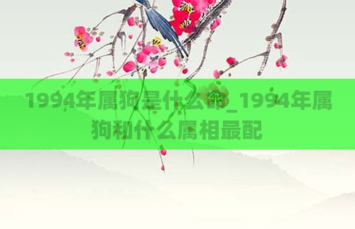 1994年属狗是什么命_1994年属狗和什么属相最配