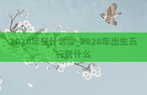 2028年是什么命_2028年出生五行缺什么