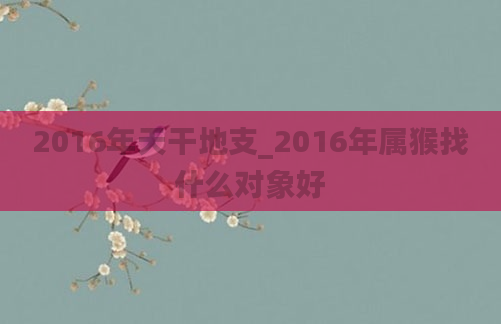 2016年天干地支_2016年属猴找什么对象好