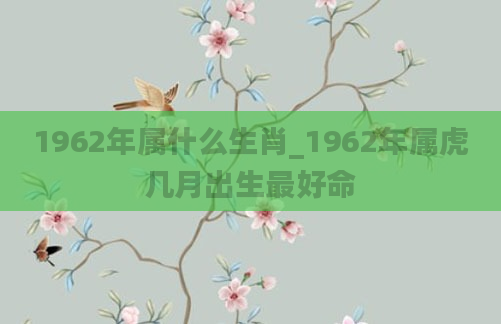 1962年属什么生肖_1962年属虎几月出生最好命