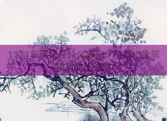 1971年属猪是什么命_1971年出生属猪的命运详解