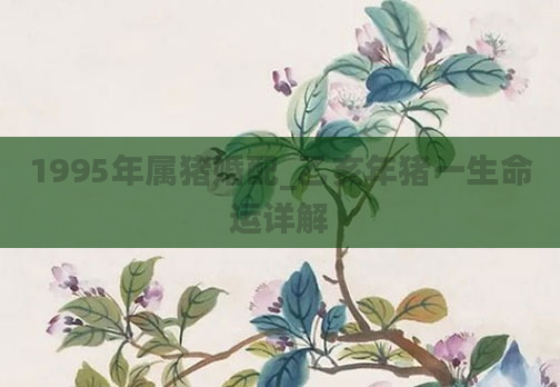 1995年属猪婚配_乙亥年猪一生命运详解