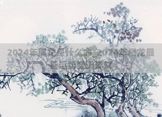 2024年属龙是什么命_2024年属龙最新运势查询详解