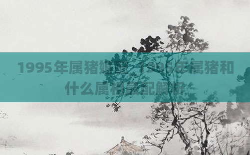 1995年属猪婚配_1995年属猪和什么属相最配解析