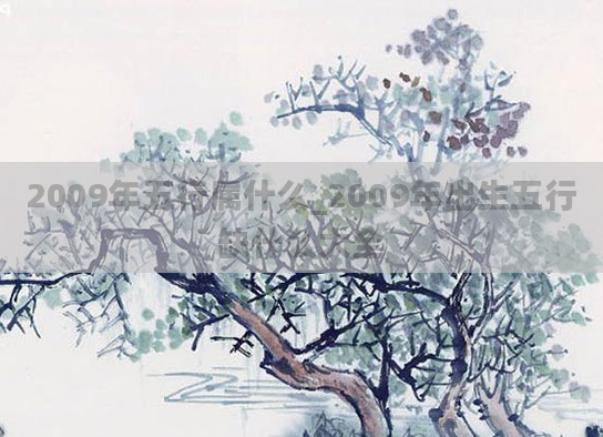 2009年五行属什么_2009年出生五行缺什么大全