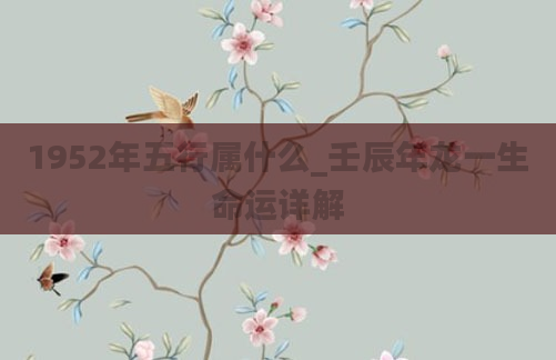 1952年五行属什么_壬辰年龙一生命运详解