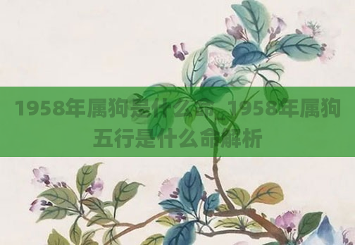1958年属狗是什么命_1958年属狗五行是什么命解析