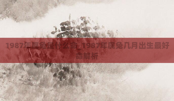 1987年属兔是什么命_1987年属兔几月出生最好命解析