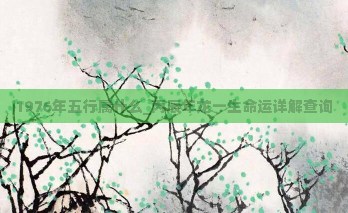 1976年五行属什么_丙辰年龙一生命运详解查询