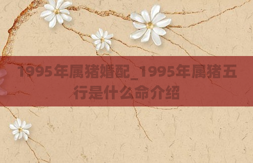 1995年属猪婚配_1995年属猪五行是什么命介绍