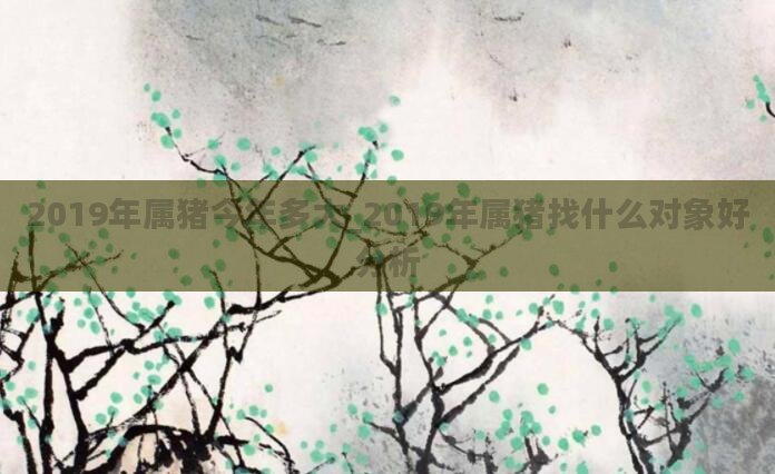 2019年属猪今年多大_2019年属猪找什么对象好分析