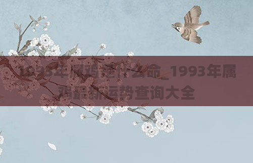 1993年属鸡是什么命_1993年属鸡最新运势查询大全