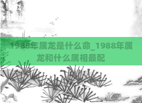 1988年属龙是什么命_1988年属龙和什么属相最配