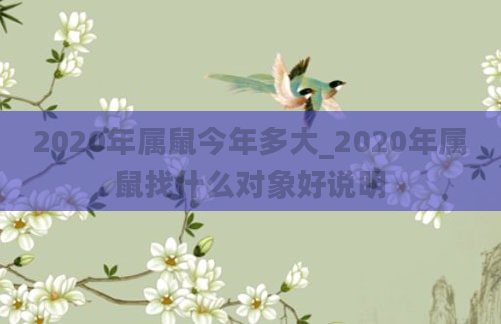 2020年属鼠今年多大_2020年属鼠找什么对象好说明