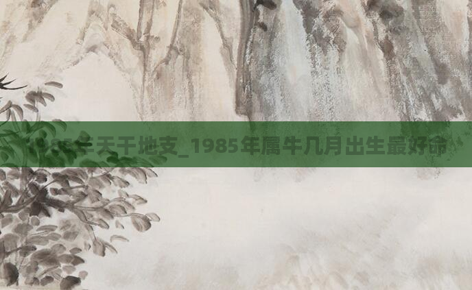 1985年天干地支_1985年属牛几月出生最好命