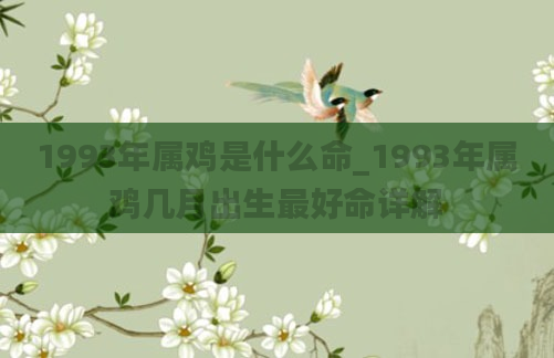 1993年属鸡是什么命_1993年属鸡几月出生最好命详解