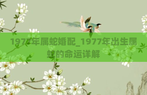 1977年属蛇婚配_1977年出生属蛇的命运详解