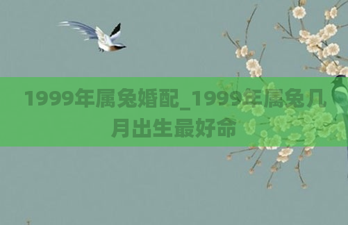 1999年属兔婚配_1999年属兔几月出生最好命