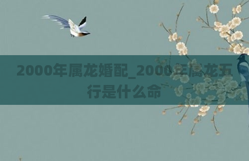 2000年属龙婚配_2000年属龙五行是什么命
