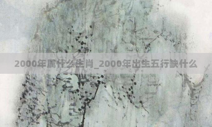 2000年属什么生肖_2000年出生五行缺什么
