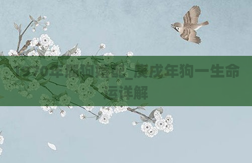 1970年属狗婚配_庚戌年狗一生命运详解