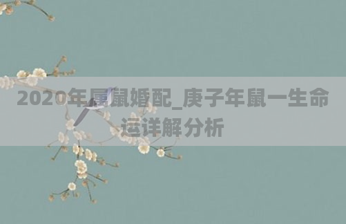 2020年属鼠婚配_庚子年鼠一生命运详解分析