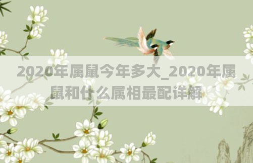 2020年属鼠今年多大_2020年属鼠和什么属相最配详解