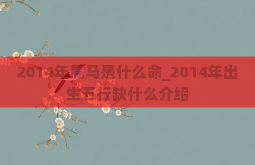 2014年属马是什么命_2014年出生五行缺什么介绍