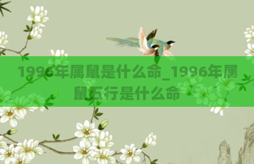 1996年属鼠是什么命_1996年属鼠五行是什么命