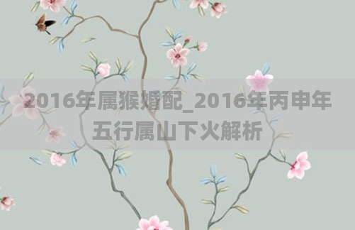 2016年属猴婚配_2016年丙申年五行属山下火解析