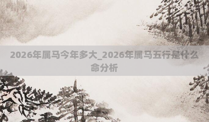2026年属马今年多大_2026年属马五行是什么命分析