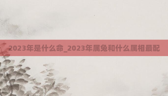 2023年是什么命_2023年属兔和什么属相最配