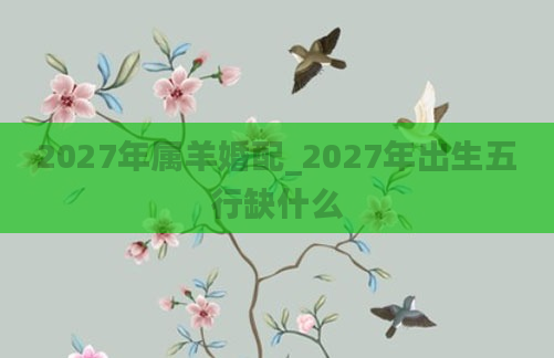 2027年属羊婚配_2027年出生五行缺什么