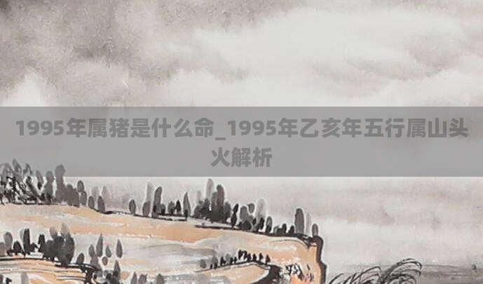 1995年属猪是什么命_1995年乙亥年五行属山头火解析