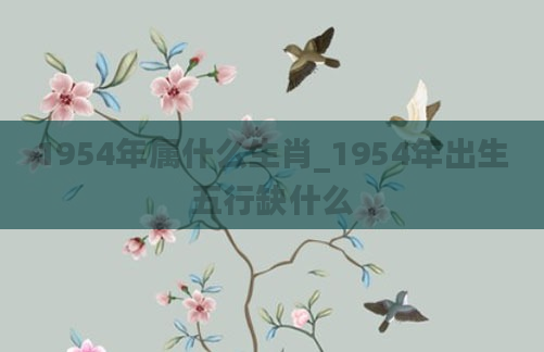 1954年属什么生肖_1954年出生五行缺什么