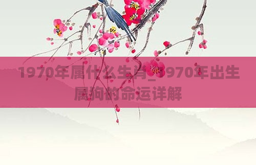 1970年属什么生肖_1970年出生属狗的命运详解