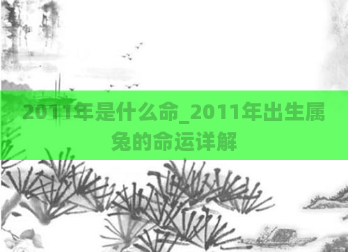 2011年是什么命_2011年出生属兔的命运详解