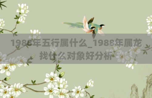 1988年五行属什么_1988年属龙找什么对象好分析