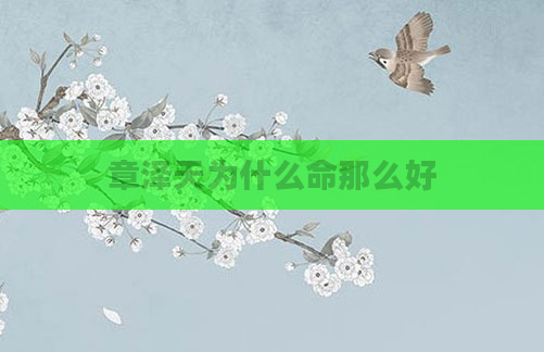 章泽天为什么命那么好