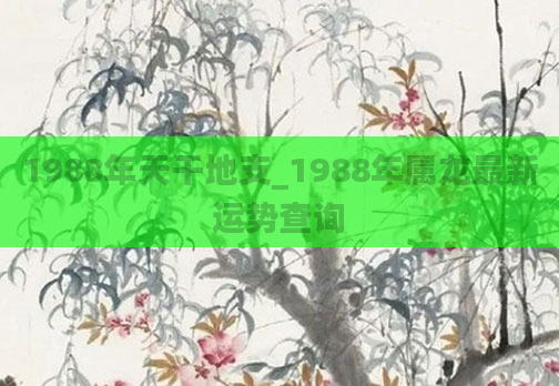 1988年天干地支_1988年属龙最新运势查询