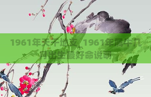 1961年天干地支_1961年属牛几月出生最好命说明