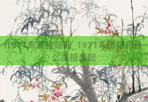 1971年属猪婚配_1971年属猪和什么属相最配