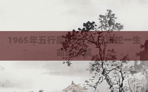 1965年五行属什么_乙巳年蛇一生命运详解