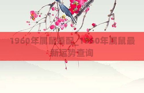 1960年属鼠婚配_1960年属鼠最新运势查询