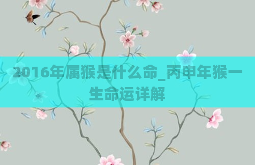 2016年属猴是什么命_丙申年猴一生命运详解