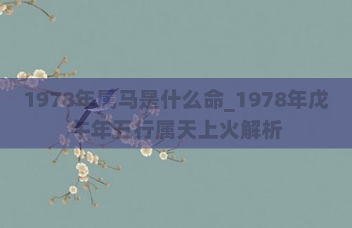 1978年属马是什么命_1978年戊午年五行属天上火解析